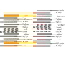 ZYMARIDIS/ZYM-267204-14630900