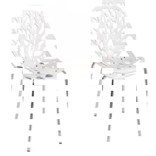 ZYMARIDIS/ZYM-267235.jpg