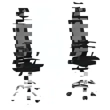 ZYMARIDIS/ZYM-267833