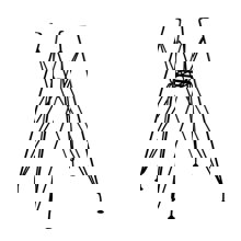 ZYMARIDIS/ZYM-267964.jpg