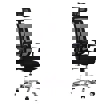ZYMARIDIS/ZYM-267968-14636306