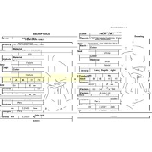 ZYMARIDIS/ZYM-268303-14631719