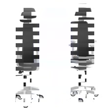ZYMARIDIS/ZYM-268442-14632291