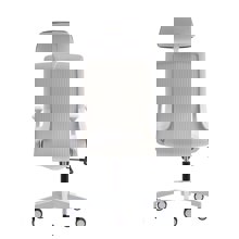 ZYMARIDIS/ZYM-268442-14635644