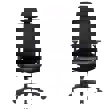 ZYMARIDIS/ZYM-268459-14636802
