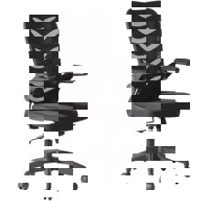 ZYMARIDIS/ZYM-268863.jpg