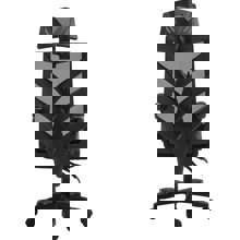 ZYMARIDIS/ZYM-269011-14632769