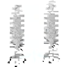 ZYMARIDIS/ZYM-269017-14631112