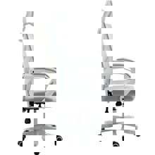 ZYMARIDIS/ZYM-269017-14636918