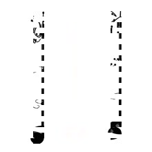 ZYMARIDIS/ZYM-269047-14636105