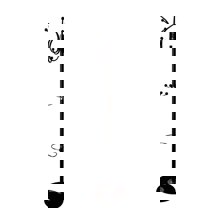 ZYMARIDIS/ZYM-269047.jpg