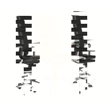 ZYMARIDIS/ZYM-269210