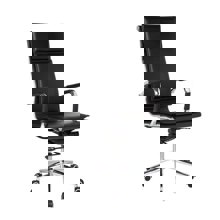 ZYMARIDIS/ZYM-269234