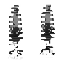 ZYMARIDIS/ZYM-336036-14633445