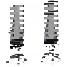 ZYMARIDIS/ZYM-336039-14634036