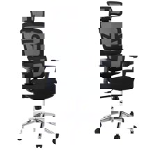ZYMARIDIS/ZYM-379583.jpg