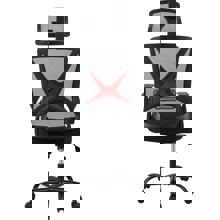 ZYMARIDIS/ZYM-396996-14629945