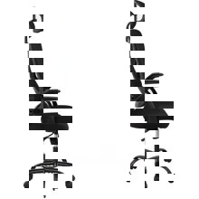 ZYMARIDIS/ZYM-396996-14632292