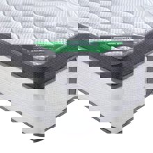ZYMARIDIS/ZYM-398522-14648759