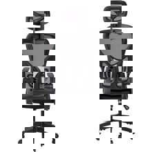 ZYMARIDIS/ZYM-456517-14718720