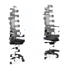 ZYMARIDIS/ZYM-482852.jpg