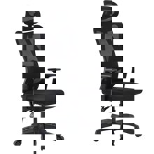 ZYMARIDIS/ZYM-490601.jpg