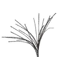 ARTELIBRE/AL-460528.jpg
