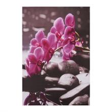 FB-198537-pinakas-kambas-pink-orchid-hm715412-60x9.jpg