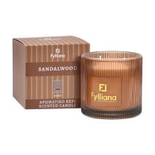 FYLIANA/FYL-525336.jpg