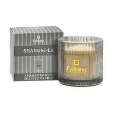 FYLIANA/FYL-525338.jpg
