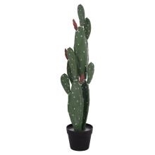 HOMEMARKT/HM-510894.jpg