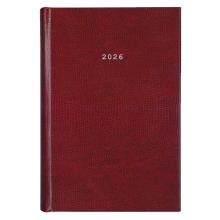 NEXT/ΝΕΧΤ-510154.jpg