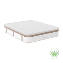 PAKETO/PK-246600.jpg