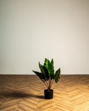 PE/PE-300440.jpg